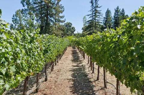 Other - 1685 Estee Ave, Napa, CA 94558 photo 18 of 20