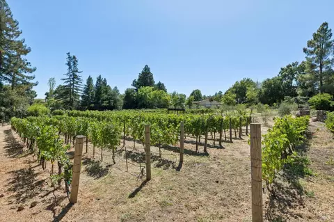 Exterior - 1685 Estee Ave, Napa, CA 94558 photo 24 of 30