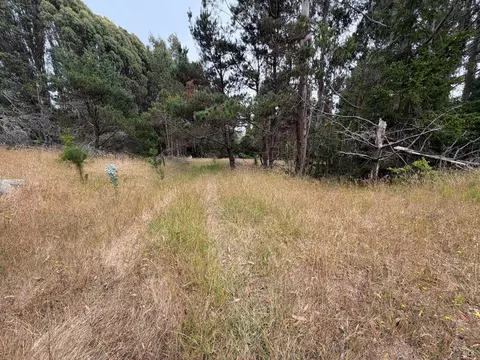 Other - 23285 Highway 1, Jenner, CA 95450 photo 4 of 6
