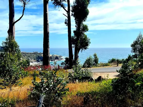 View/Area - 23285 Highway 1, Jenner, CA 95450 photo 1 of 1