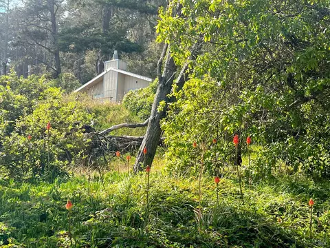 Other - 23285 Highway 1, Jenner, CA 95450 photo 2 of 6