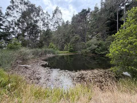 Other - 23285 Highway 1, Jenner, CA 95450 photo 5 of 6