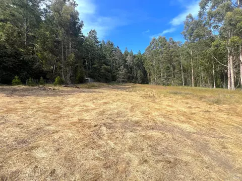Exterior - 23285 Highway 1, Jenner, CA 95450 photo 6 of 10