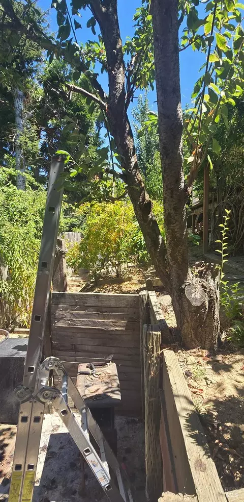 Exterior - 813 Lighthouse Dr, Vallejo, CA 94590 photo 8 of 16