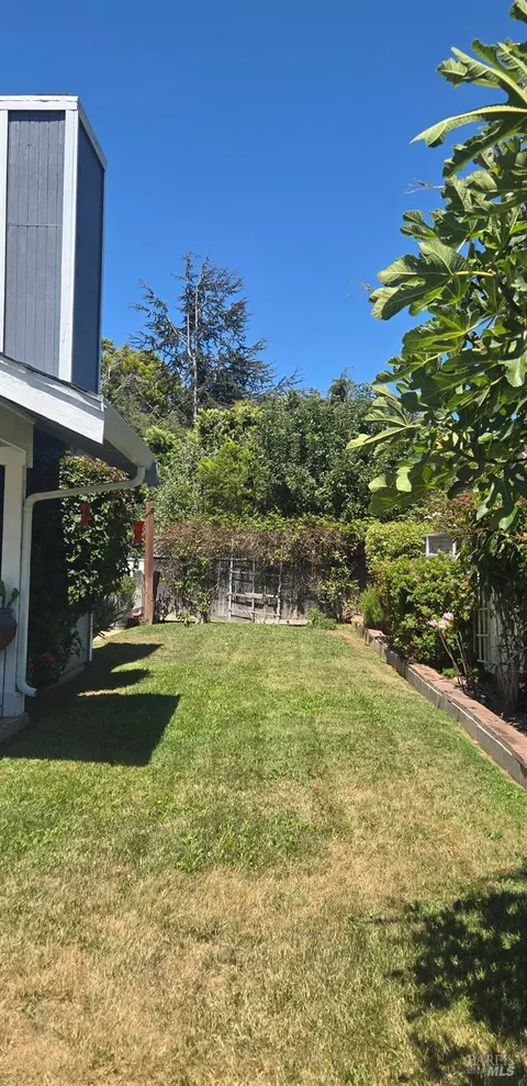 Exterior - 813 Lighthouse Dr, Vallejo, CA 94590 photo 4 of 16