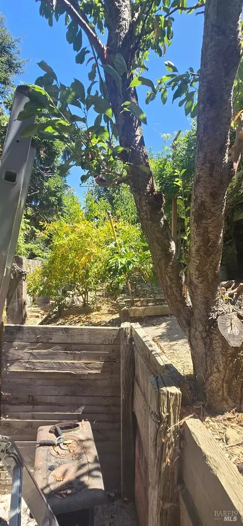 Exterior - 813 Lighthouse Dr, Vallejo, CA 94590 photo 14 of 16