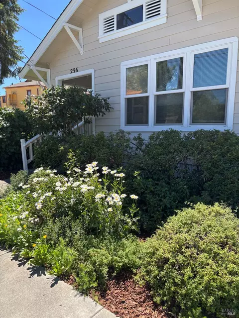 Exterior - 236 S Humboldt St, Willits, CA 95490 photo 5 of 5