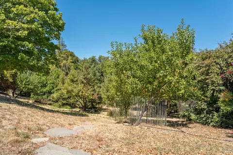 Exterior - 800 Riverside Dr, Ukiah, CA 95482 photo 10 of 15