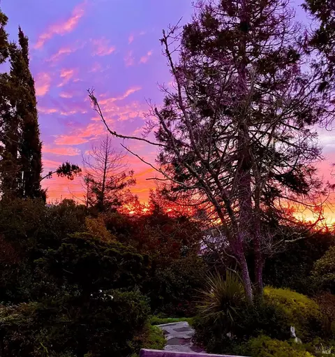 Other - 1826 Vervais Ave, Vallejo, CA 94591 photo 5 of 5