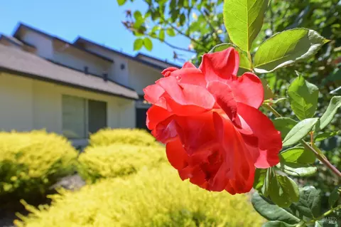 Exterior - 6441 Yale St, Windsor, CA 95492 photo 11 of 11
