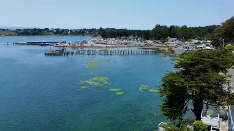 View/Area - 1165 Highway 1, Bodega Bay, CA 94923 photo 12 of 13