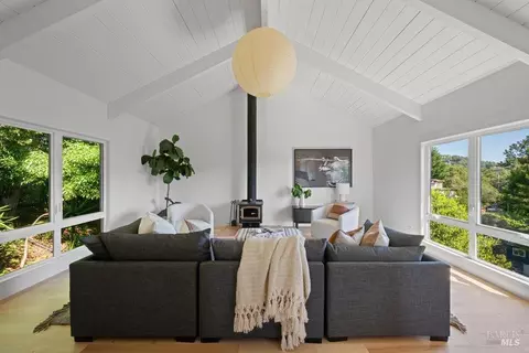 Living - 191 Elinor Ave, Mill Valley, CA 94941 photo 3 of 4
