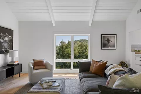 Other - 191 Elinor Ave, Mill Valley, CA 94941 photo 3 of 6