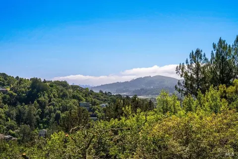 View/Area - 191 Elinor Ave, Mill Valley, CA 94941 photo 2 of 3