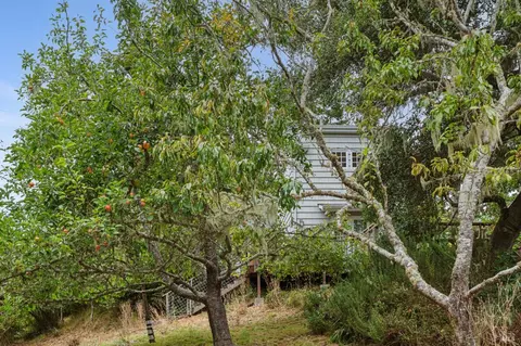 Exterior - 6 Cameron St, Inverness, CA 94937 photo 9 of 15