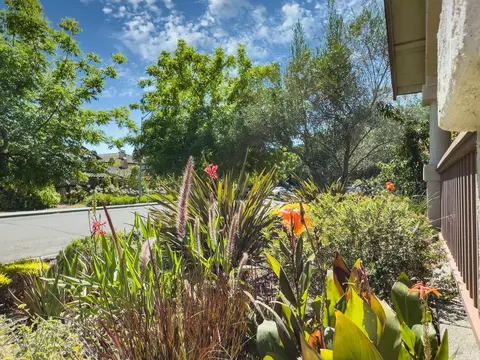 Exterior - 142 Clay St, Sonoma, CA 95476 photo 5 of 11