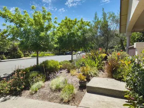Exterior - 142 Clay St, Sonoma, CA 95476 photo 4 of 11
