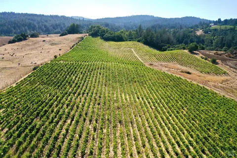 Other - 3291 Westside Rd, Healdsburg, CA 95448 photo 19 of 31