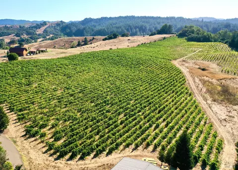 View/Area - 3291 Westside Rd, Healdsburg, CA 95448 photo 9 of 22