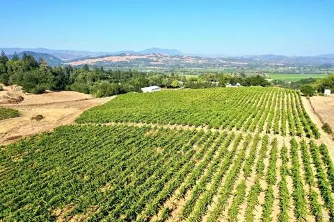 Other - 3291 Westside Rd, Healdsburg, CA 95448 photo 20 of 31