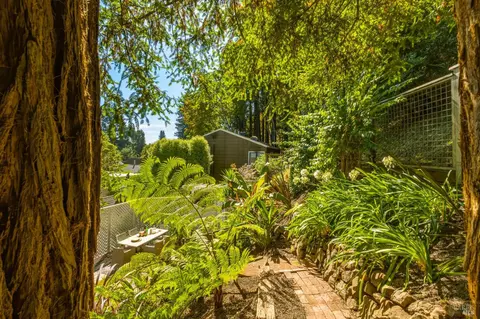 Exterior - 230 Miller Ave, Mill Valley, CA 94941 photo 8 of 14