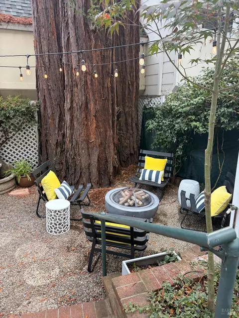 Exterior - 230 Miller Ave, Mill Valley, CA 94941 photo 13 of 14