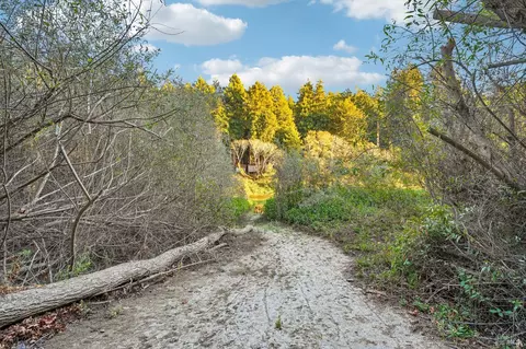 Other - 22585 Sylvan Way, Monte Rio, CA 95462 photo 7 of 9