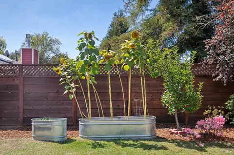 Other - 312 Marin Ave, Mill Valley, CA 94941 photo 5 of 11