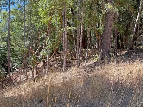 26006 Peacock Rd, Willits, CA 95490 photo 3