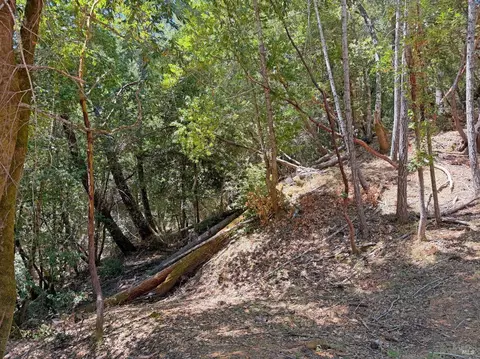 26006 Peacock Rd, Willits, CA 95490 photo 11