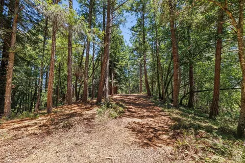 1401 Nicasio Valley Rd, Nicasio, CA 94946 photo 2