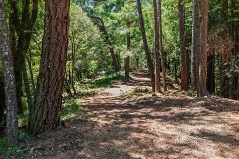 1401 Nicasio Valley Rd, Nicasio, CA 94946 photo 8