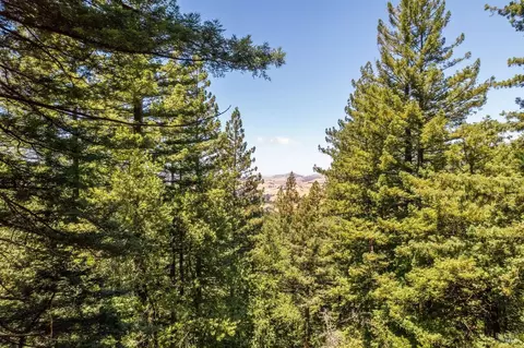 1401 Nicasio Valley Rd, Nicasio, CA 94946 photo 12