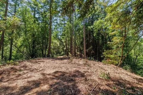 1401 Nicasio Valley Rd, Nicasio, CA 94946 photo 11