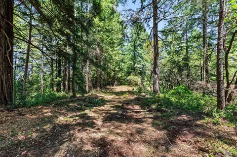 1401 Nicasio Valley Rd, Nicasio, CA 94946 photo 22