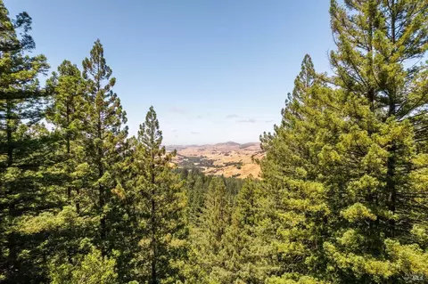 1401 Nicasio Valley Rd, Nicasio, CA 94946 photo 3