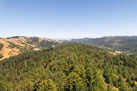 1401 Nicasio Valley Rd, Nicasio, CA 94946 photo 15