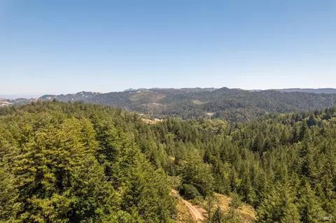 1401 Nicasio Valley Rd, Nicasio, CA 94946 photo 17