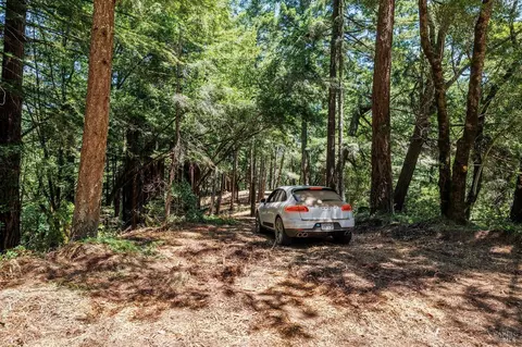 1401 Nicasio Valley Rd, Nicasio, CA 94946 photo 7
