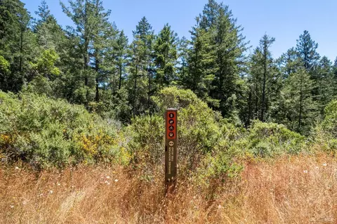 1401 Nicasio Valley Rd, Nicasio, CA 94946 photo 16