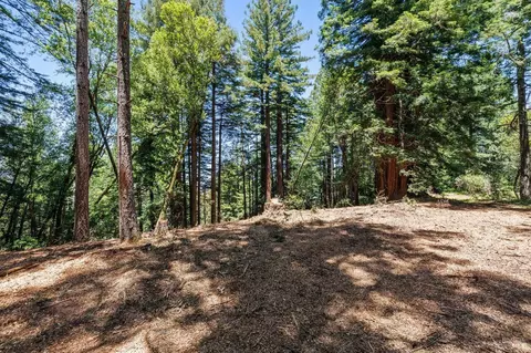 1401 Nicasio Valley Rd, Nicasio, CA 94946 photo 13