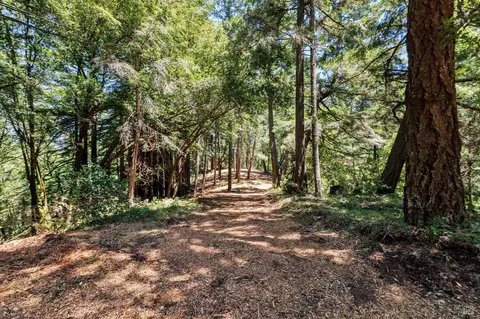 1401 Nicasio Valley Rd, Nicasio, CA 94946 photo 6