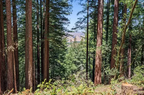 1401 Nicasio Valley Rd, Nicasio, CA 94946 photo 19