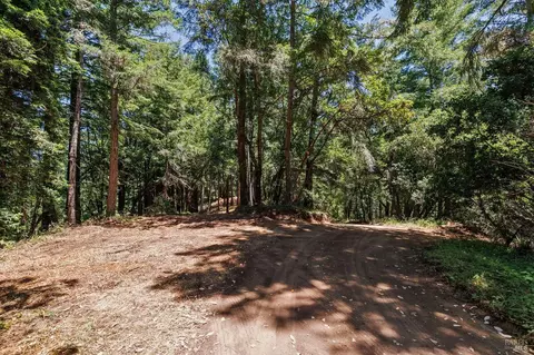 1401 Nicasio Valley Rd, Nicasio, CA 94946 photo 18