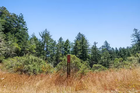 1401 Nicasio Valley Rd, Nicasio, CA 94946 photo 23