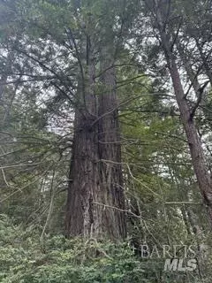 0 Old Stage Rd, Gualala, CA 95445 photo 2