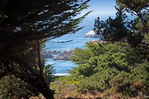 22070 Highway One, Jenner, CA 95450 photo 7
