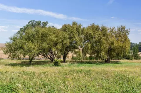 6157 Bodega Ave, Petaluma, CA 94952 photo 22