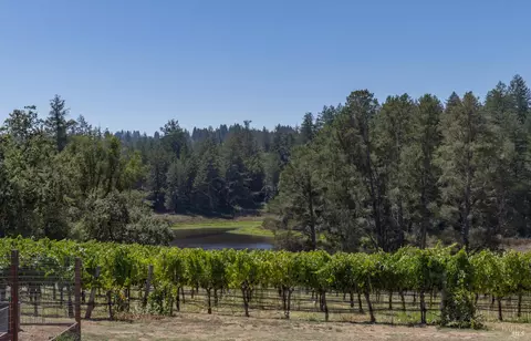 View/Area - 4630 Maddocks Rd, Sebastopol, CA 95472 photo 3 of 3