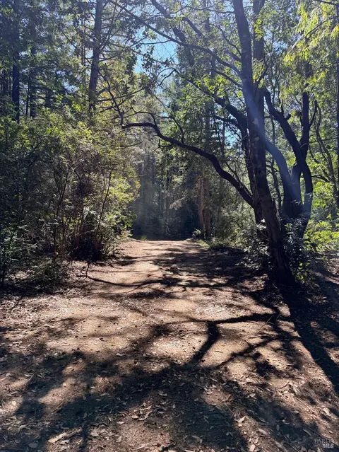 45400 Bill Owens Rd, Point Arena, CA 95468